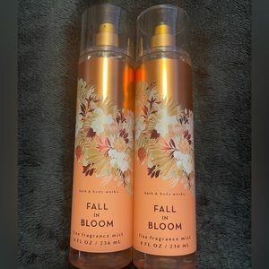 2 brand new Bath and Bodyworks body spray.